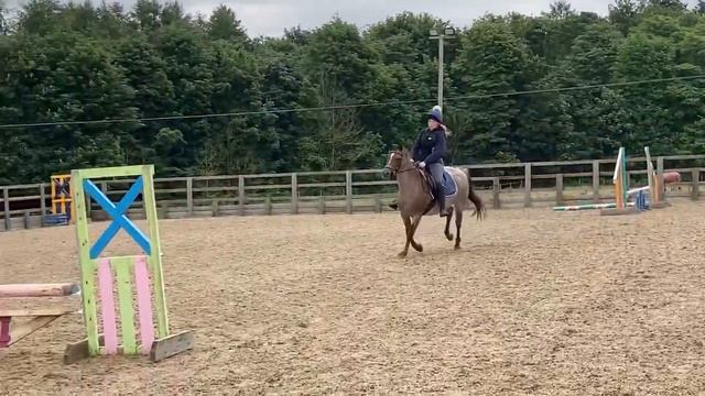 jumping moo over a 70cm jump with fillers смотреть онлайн