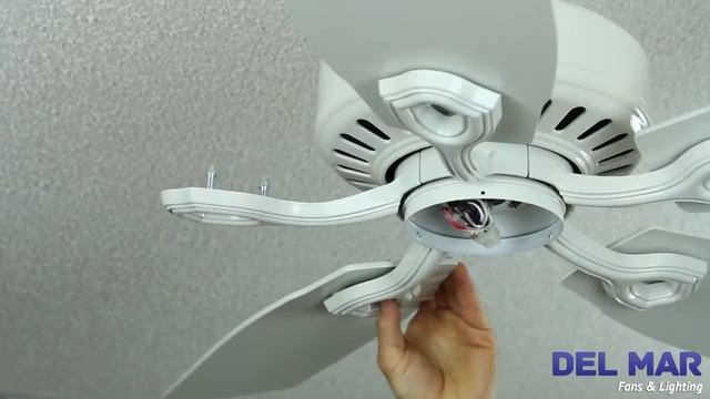 Hunter Auberville Ceiling Fan Installation