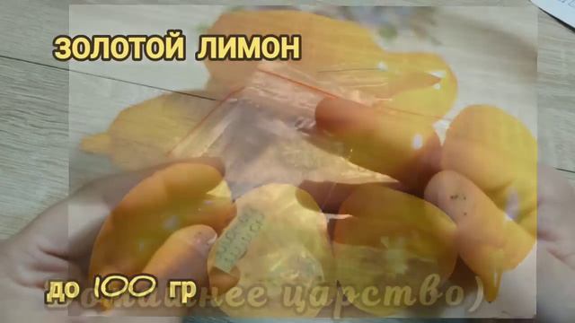 Обзор ТОМАТОВ по сортам на 2023 г! смотреть онлайн