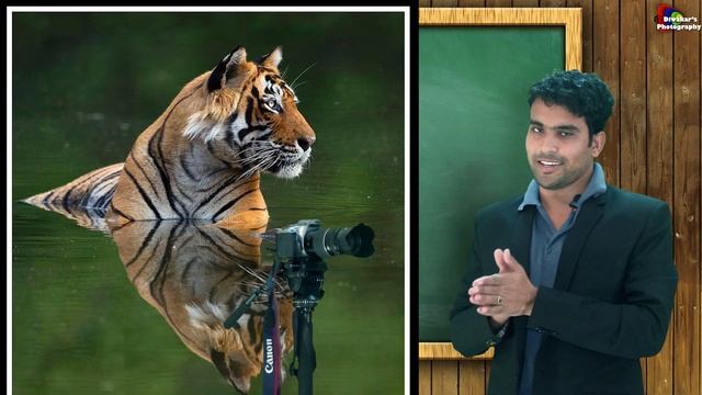 Types of photography , landscape, portrait, wildlife, wedding, macro photogrpahy in hindi, Diwakar смотреть онлайн