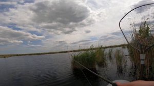 Лысый Лиман 28