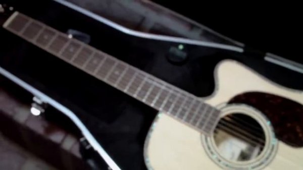 Hohner HC06 Guitar vs Zager EZ-Play Guitar Review