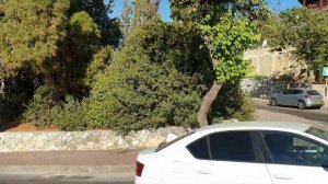 Кармиэль - зеленый город. Прогулки по тихим улочкам #израиль #кармиэль #путешествия