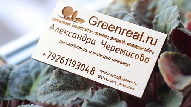 Визитки из дерева смотреть онлайн