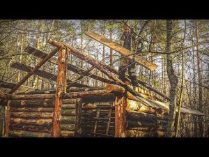 ИЗБА В ЛЕСУ! ПРОЦЕСС СТРОИТЕЛЬСТВА!