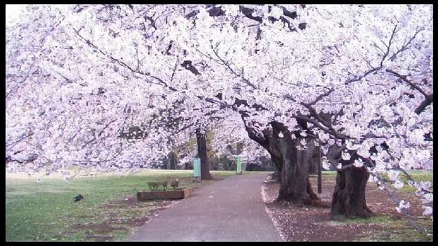 Клип ну чё ты такой хороший :-)👉👈 чт.в описание смотреть онлайн