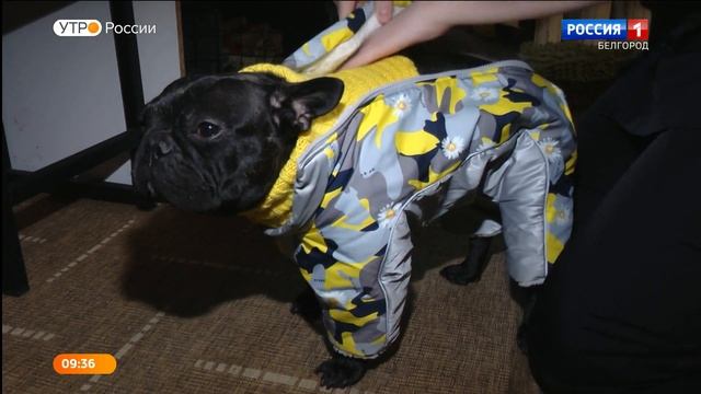 Делай Лучше