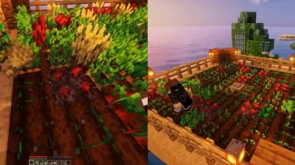 Crop Replace Plugin | Instantly harvest and replant crops | Minecraft 1.16