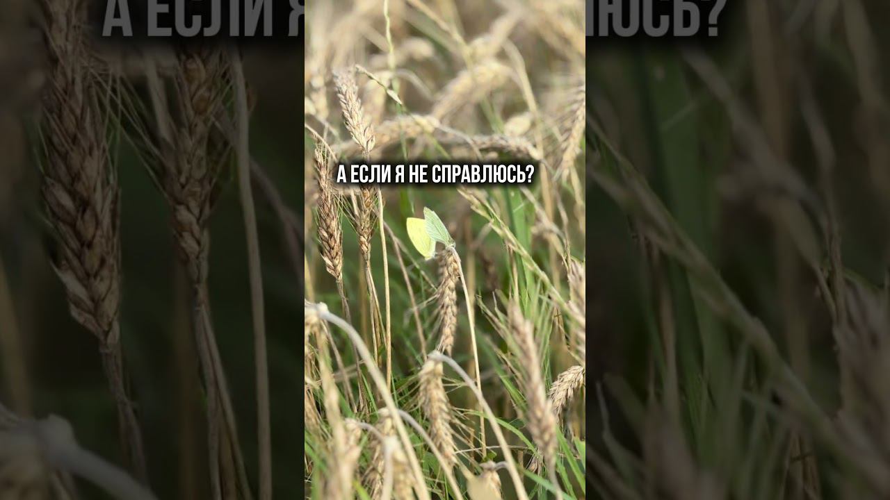 А вдруг не получится? #pakhalevacoach #психология #бизнескоуч #отношения #саморазвитие #страх