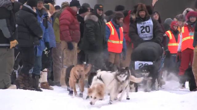Yukon Quest Sonny Lindner.mov смотреть онлайн