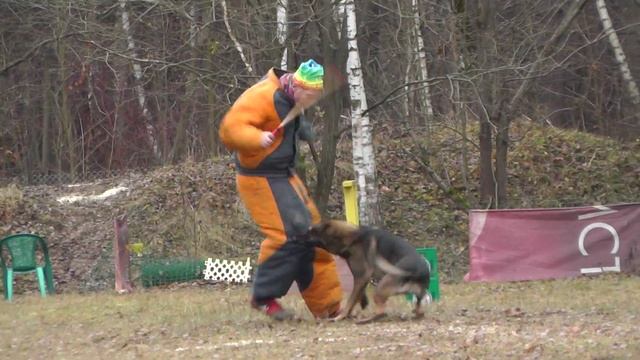 Мондьоринг. КЦ "Ясеневый" 14.11.2015 г. смотреть онлайн