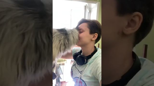 Кототерапия, обнимашки с добрым утром). Мейн-кун мальчик, имя Кришна, возраст год. смотреть онлайн