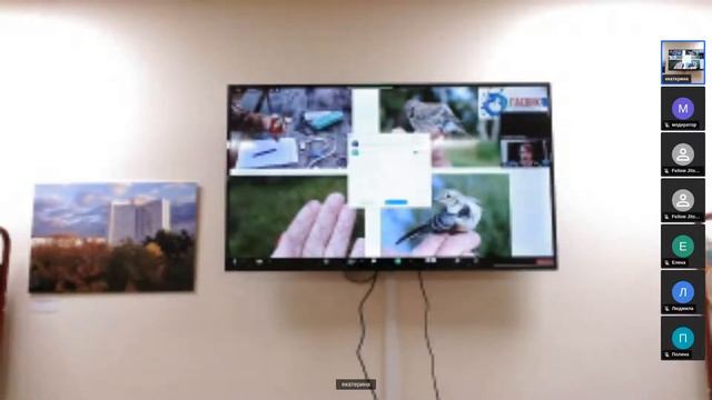 Виртуальная экскурсия «Парк трёх стран. Заповедник «Пасвик» смотреть онлайн