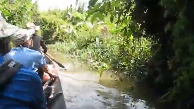 Mekong Delta Tour Hr Rudi u Fr Marion Martin im Maerz 5 смотреть онлайн