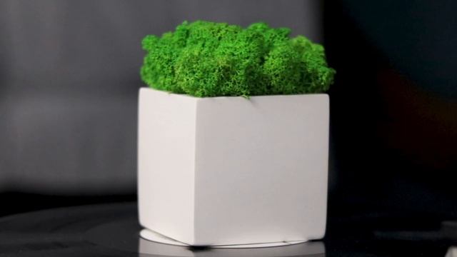 Декор кашпо Cube wite в интерьере смотреть онлайн