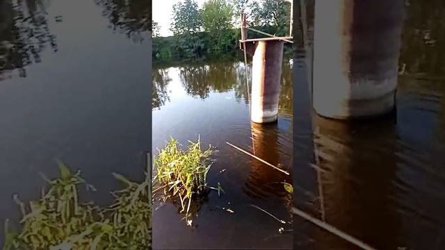 Рыбалка на белом озере смотреть онлайн