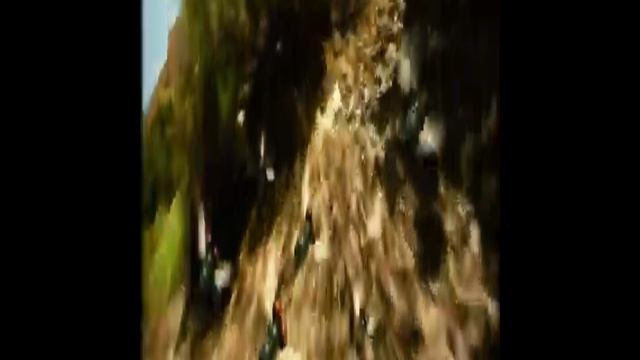 Букашки смотреть онлайн