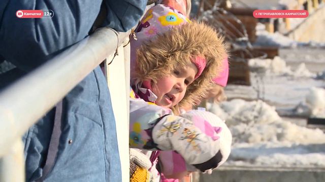 Лекция о сивучах на лежбище смотреть онлайн