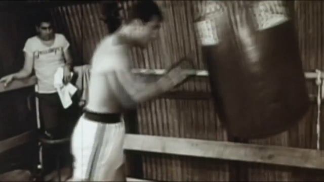 Training of Great Boxers (Тренировка Великих Боксеров) смотреть онлайн
