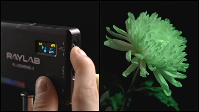 Осветитель светодиодный Raylab RL-LED08RGB-2 2500-9000K 3100mAh смотреть онлайн