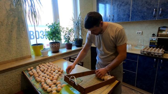 Мыть или не мыть яйца перед инкубацией??? Жизнь в деревне. смотреть онлайн