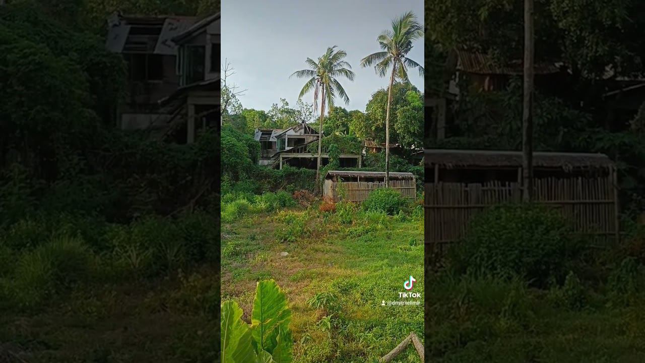 Simple Filipino life ️ #FarmLifeTikTok #BeautifulNature #jungle #BeautifulPlace #nature #happytra смотреть онлайн