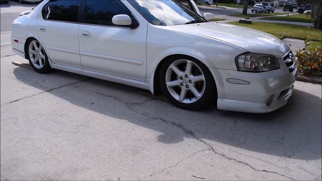 Nissan Maxima Enkei RPF1 Wheels.....Yes or No смотреть онлайн