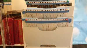 От и до—полная организация процесса вышивки.Подготовка к процессу от многоцветок до средней величин