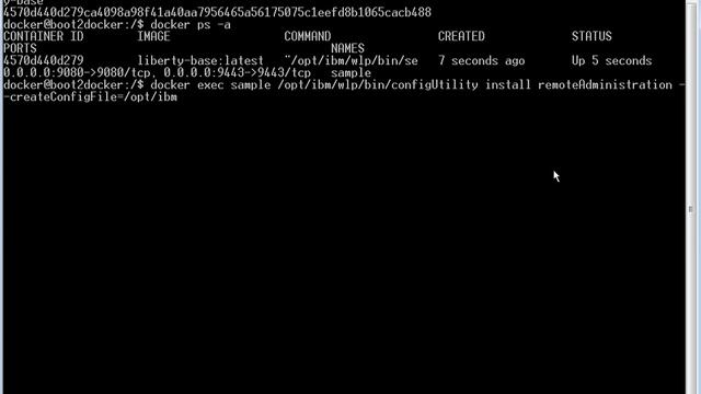 Accessing remote liberty server running on docker container from WebSphere Developer tools смотреть онлайн