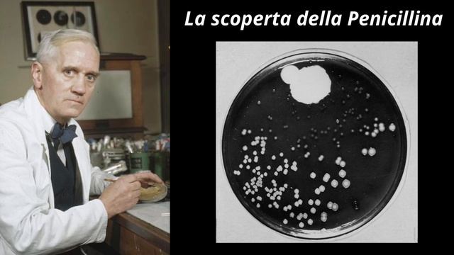 PENICILLIUM e la SCOPERTA della PENICILLINA смотреть онлайн