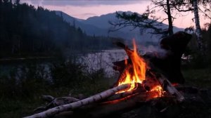 Успокаивающее видео на фон. Звуки природы и костра.