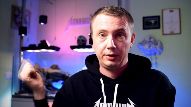 Выбор грунта для аквариума: основной, питательный и соил смотреть онлайн