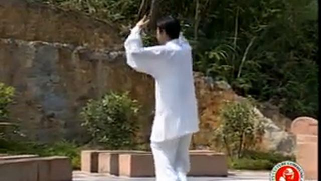 Shen Long Tai Ji Quan Yi Lu (Part 1)