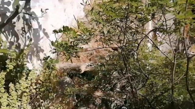 Турция. Озеро Карина и заброшенная греческая деревня Доанбей. смотреть онлайн