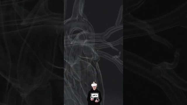 почему сердце бьется самостоятельно? смотреть онлайн