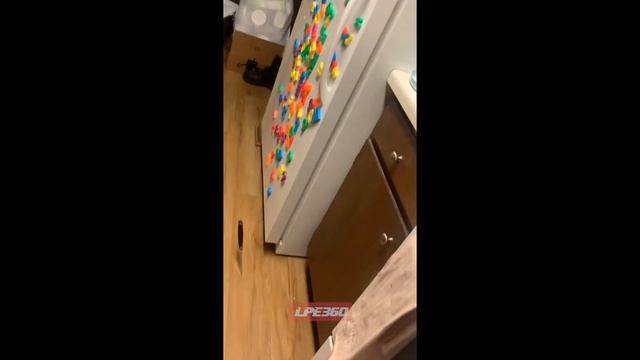 A knife jumps out of a knife holder by itself смотреть онлайн