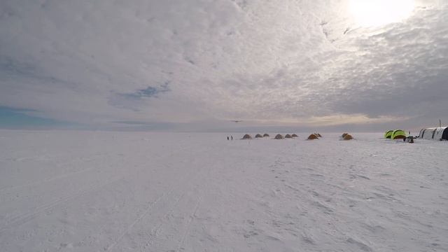CRAZY Canadian Landing near PENGUINS! Antarctica bush pilot. Twin Otter DHC6 SKIS смотреть онлайн