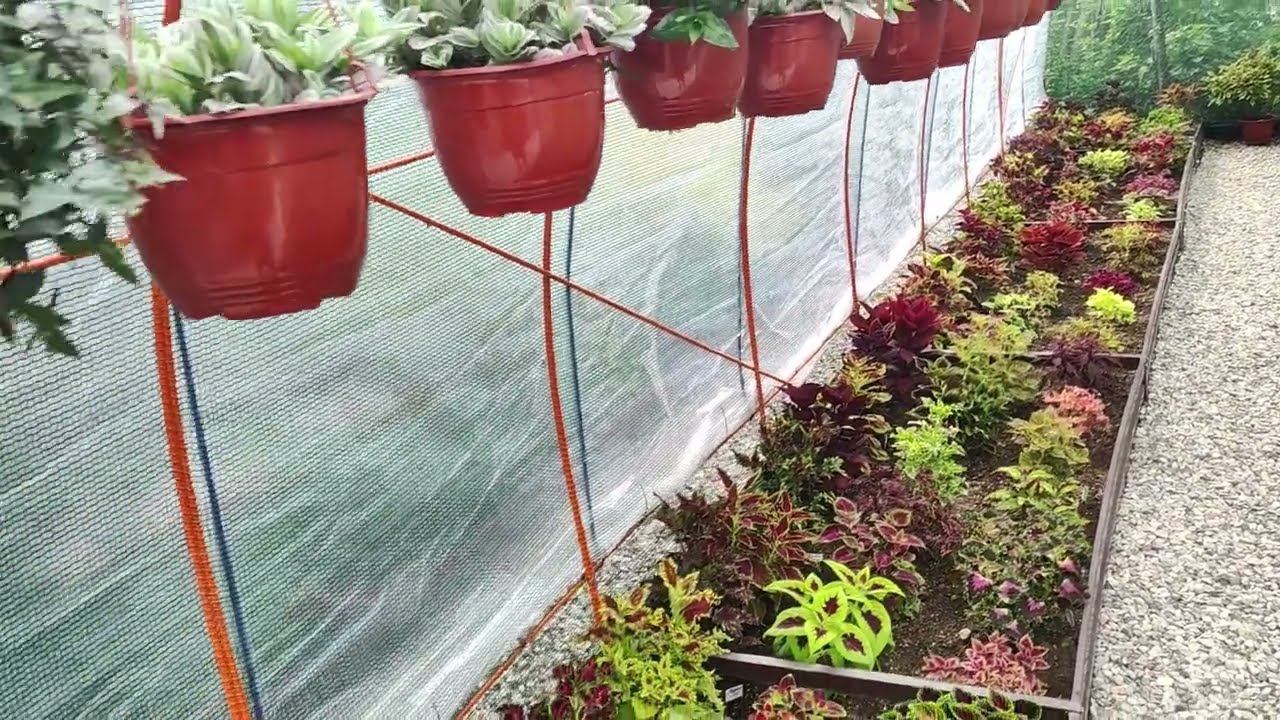 Обзор летней площадки для растений. Жара ливень ветер град не страшны. Как строили материалы размеры смотреть онлайн