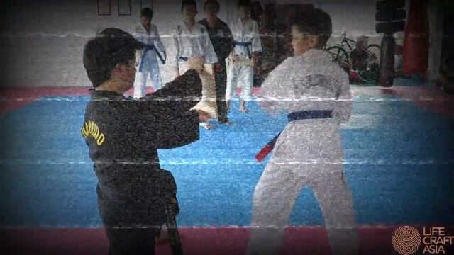 Hapkido VS Taekwondo