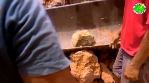 10 НЕОЖИДАННЫХ НАХОДОК. ЧТО НАШЛИ ПАРНИ ПОЗАДИ ЗАБРОШЕННОГО ДОМА МИЛЛИОНЕРА?