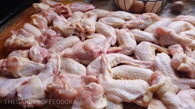 FAST GERMINATION Cantaloupe & Avocado seeds in THE GARDEN OF FEODORA смотреть онлайн