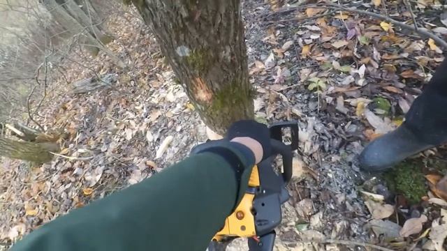 Как правильно пилить деревья .Возобновление работы канала. смотреть онлайн