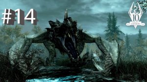 The Elder Scrolls V: Skyrim #14. В тенях