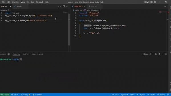 3# Python + C API (walkthrough)