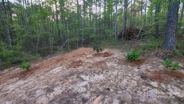 Dream big. new garden bed area by driveway. I want it to look like this once it's matures. смотреть онлайн