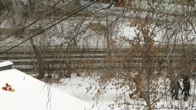 футаж # декабрь # зима# дети# радость# скоро праздник) смотреть онлайн