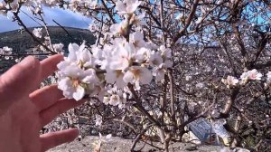 БАЛАКЛАВА - во что ПРЕВРАТИЛСЯ город. Крым сегодня.