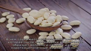 Выбираем бобы по цвету: какая фасоль полезнее белая или красная и чем они отличаются друг от друга