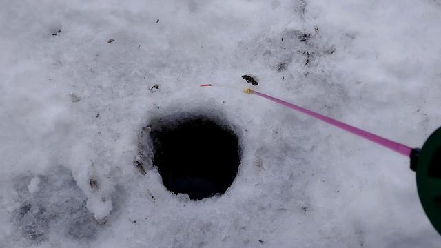 Топ 5 проводок БЕЗМОТЫЛКИ !!! Как играть БЕЗМОТЫЛКОЙ !!! Лучшие проводки для БЕЗМОТЫЛКИ !!! смотреть онлайн