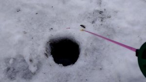 Топ 5 проводок БЕЗМОТЫЛКИ !!! Как играть БЕЗМОТЫЛКОЙ !!! Лучшие проводки для БЕЗМОТЫЛКИ !!!